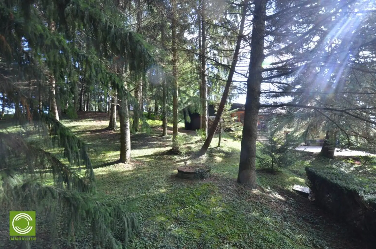 CHRISTOPH CHROMECEK IMMOBILIEN - SULZ IM WIENERWALD - Traumhafter Baugrund mit Blockhaus in Grün-Ruhelage!
