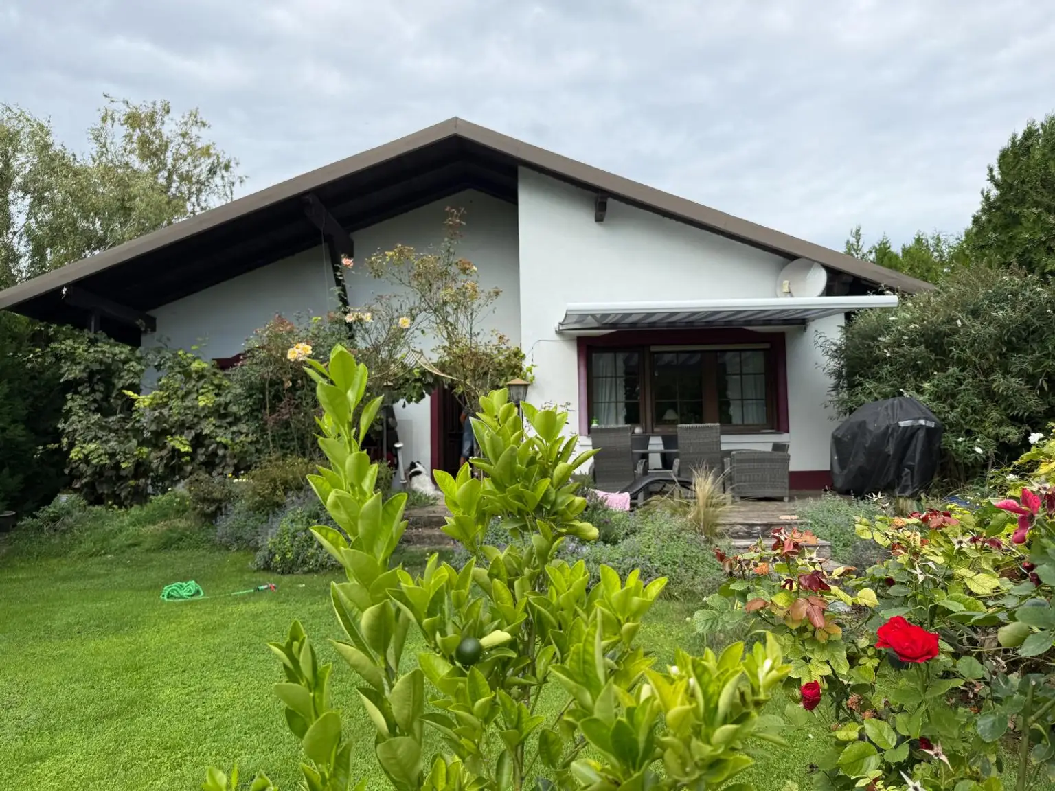 Hausansicht vom Garten