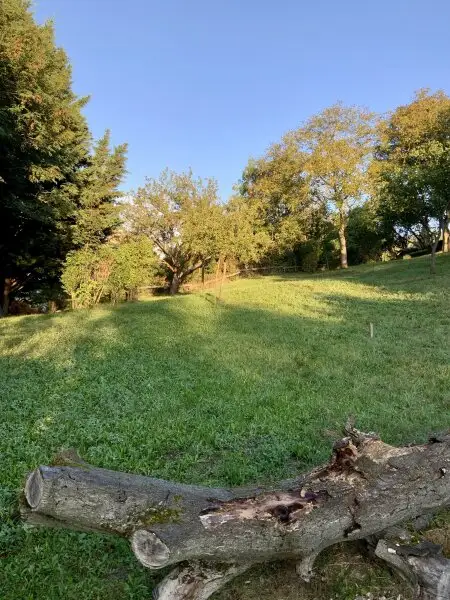 Charmantes Haus mit wunderschönem Garten in Top-Lage Nähe ISTA in Klosterneuburg/Kierling.