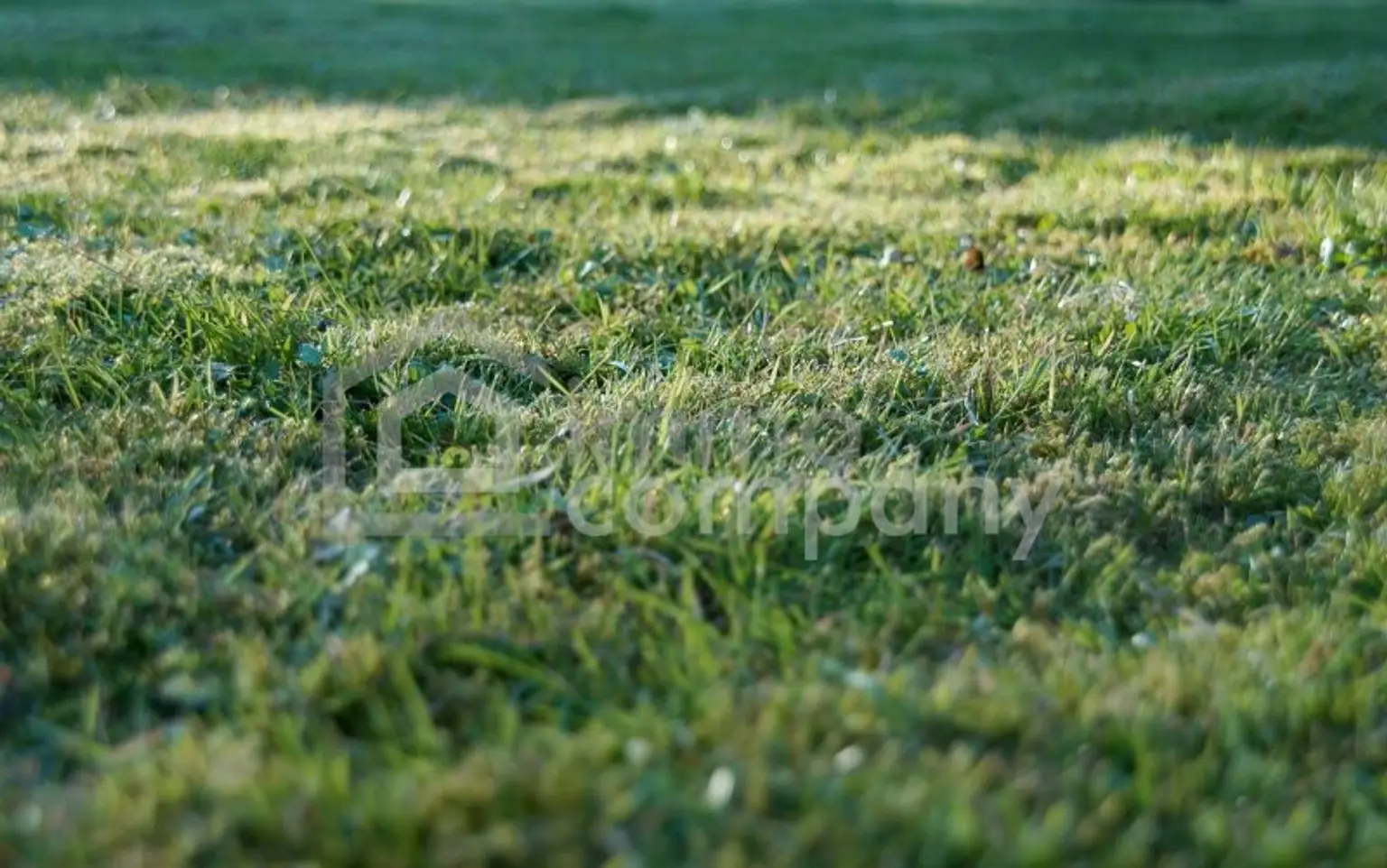 Symbolbild Grundstück