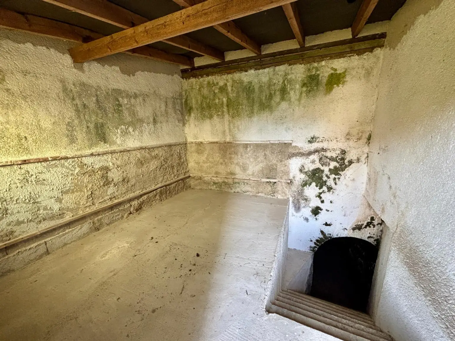 Einfamilienhaus mit großem Grund