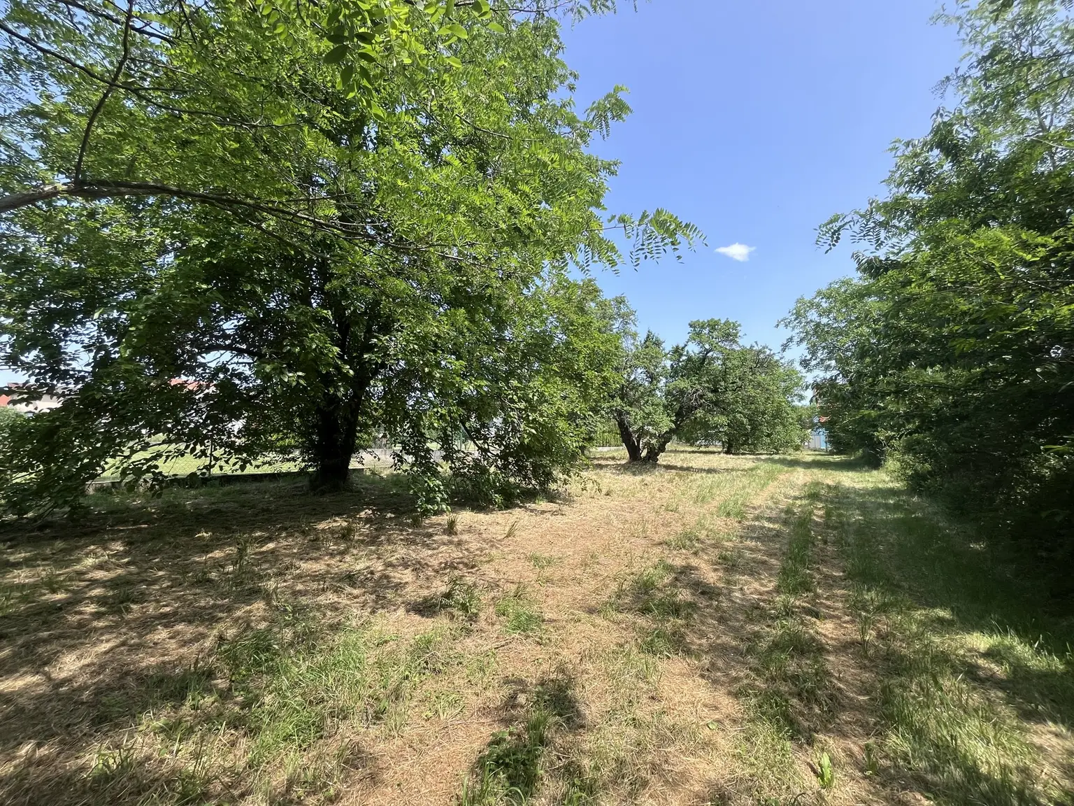 Grundstück mit Altbestand