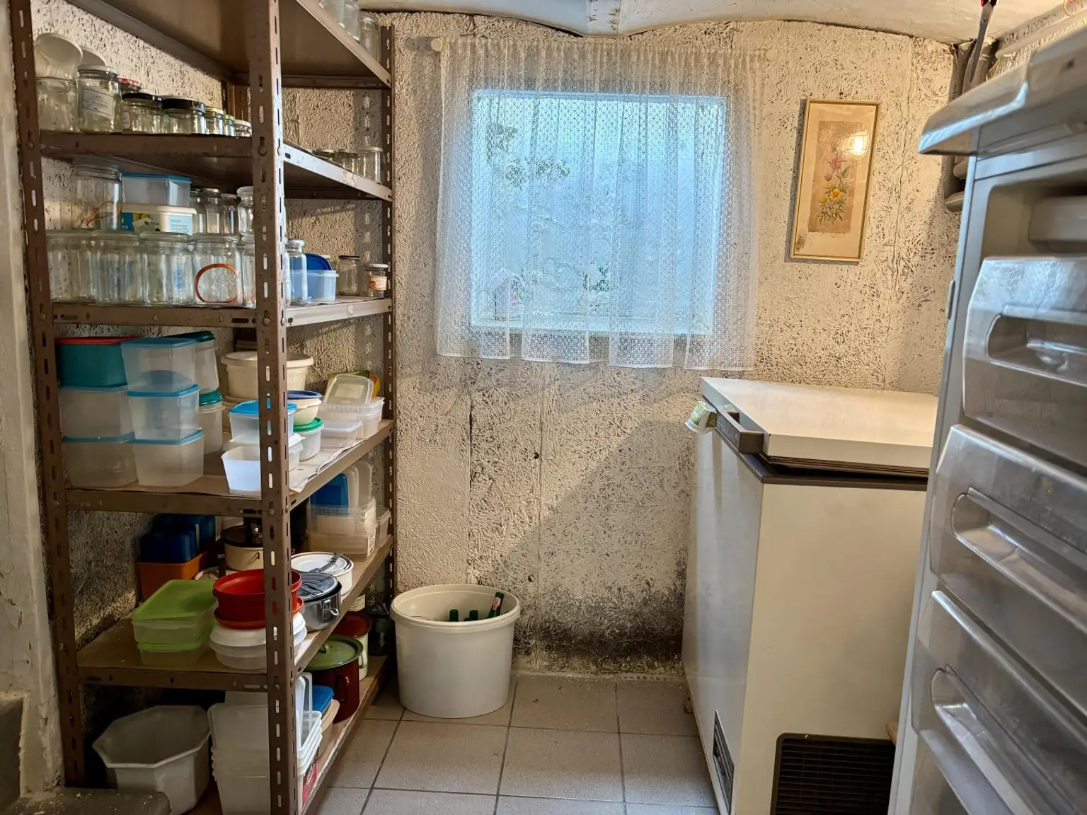 Tolles Einfamilienhaus mit großem Grundstück