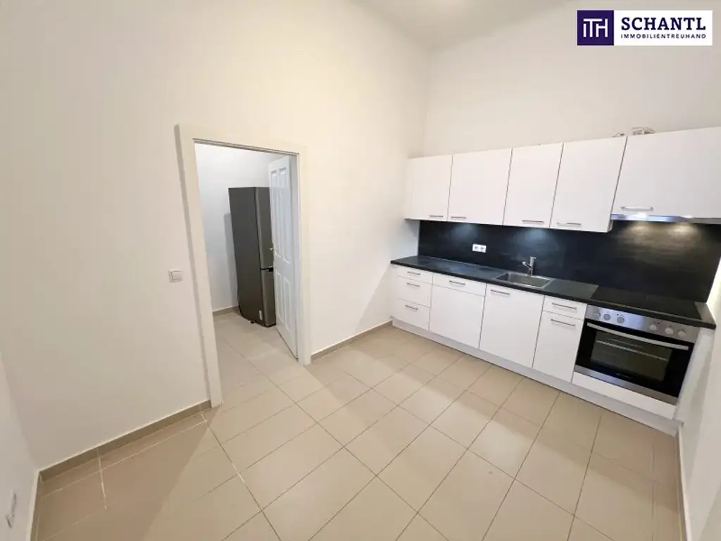 Typisch Wien – nur schöner! Altbau mit Wow-Faktor & Platz zum Leben – Jetzt entdecken!