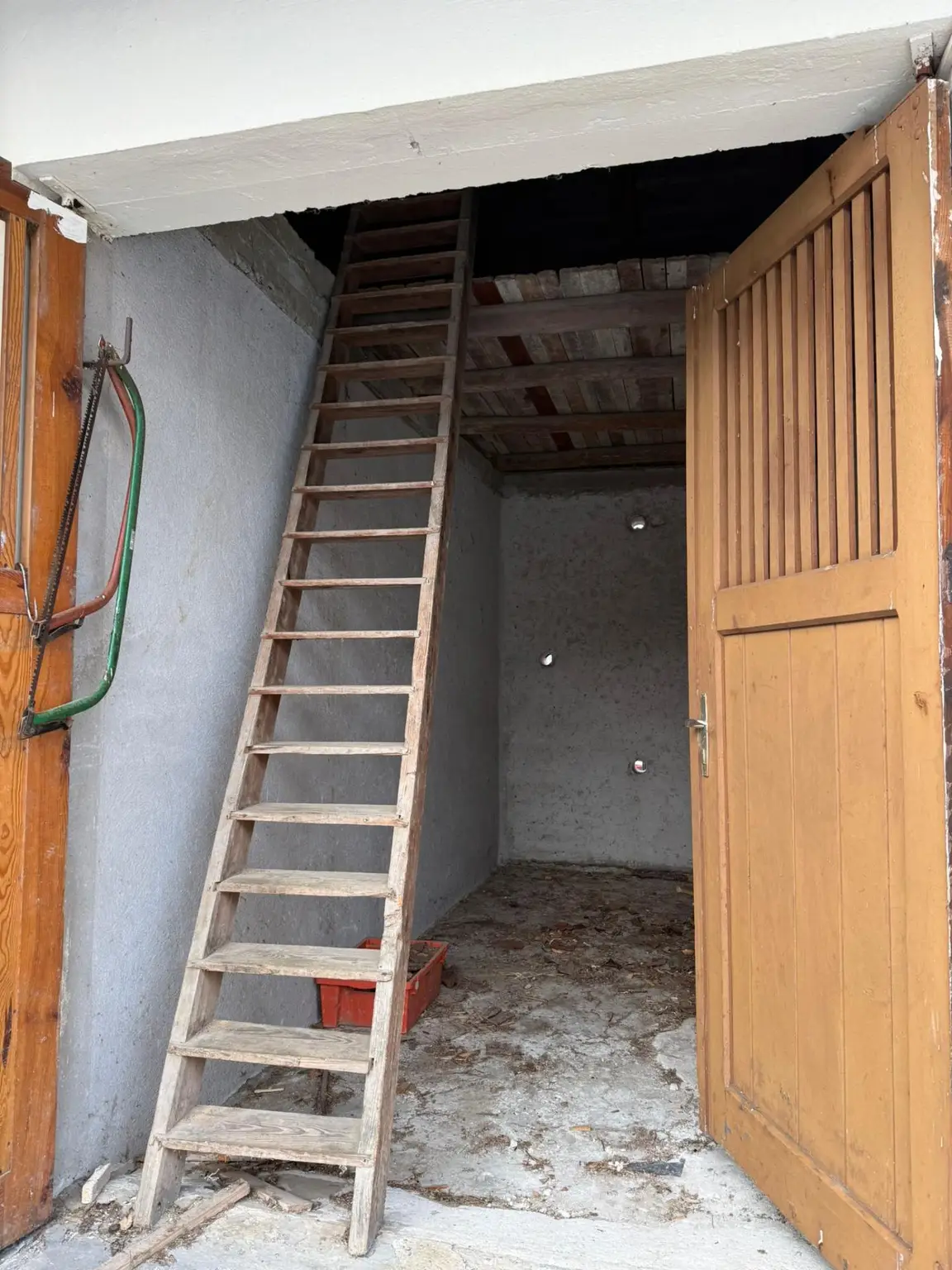 cc52141f-031c-4ed5-9543-541b0b19ca50