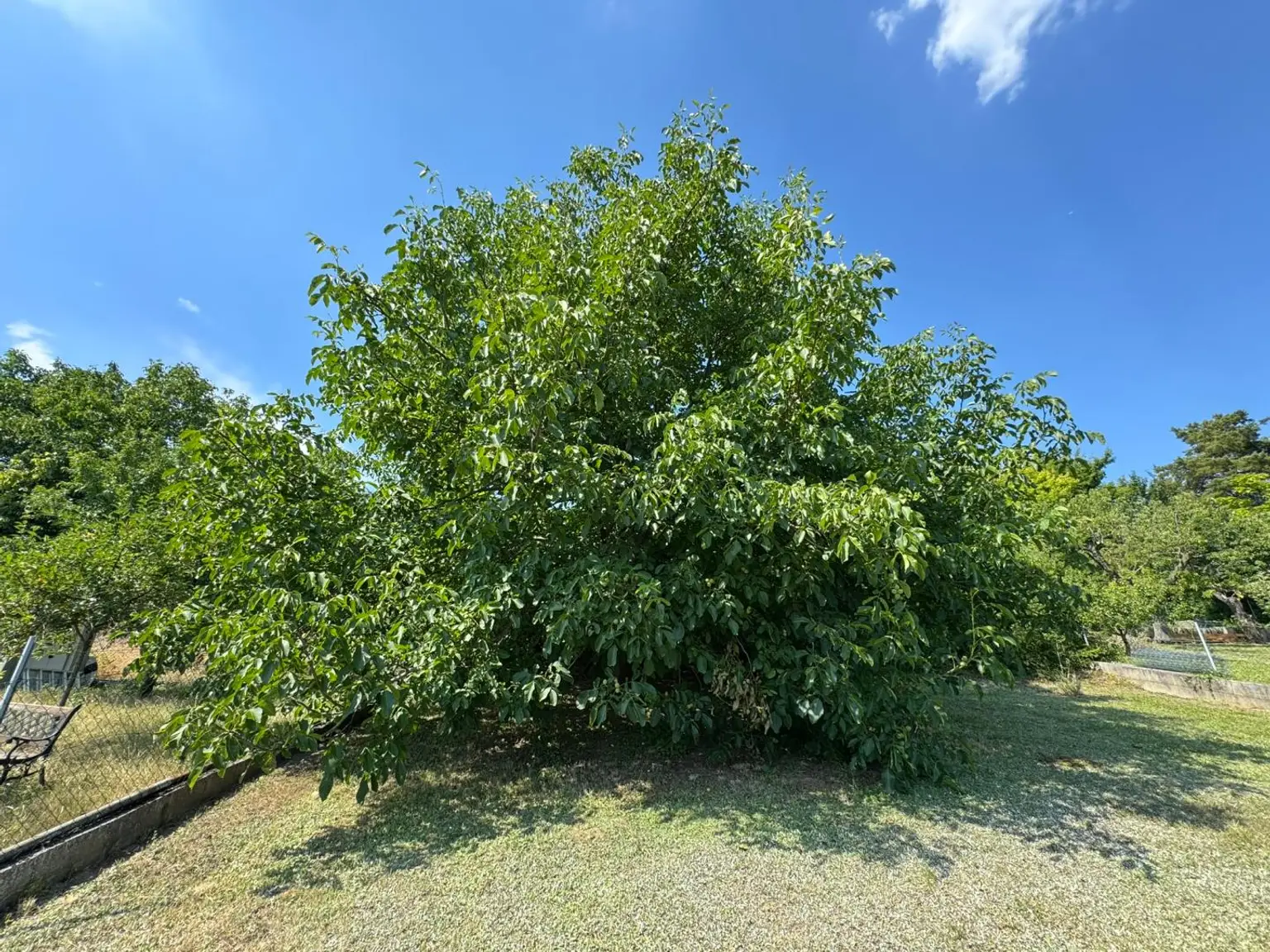 Entzückender Bungalow mit Riesengarten