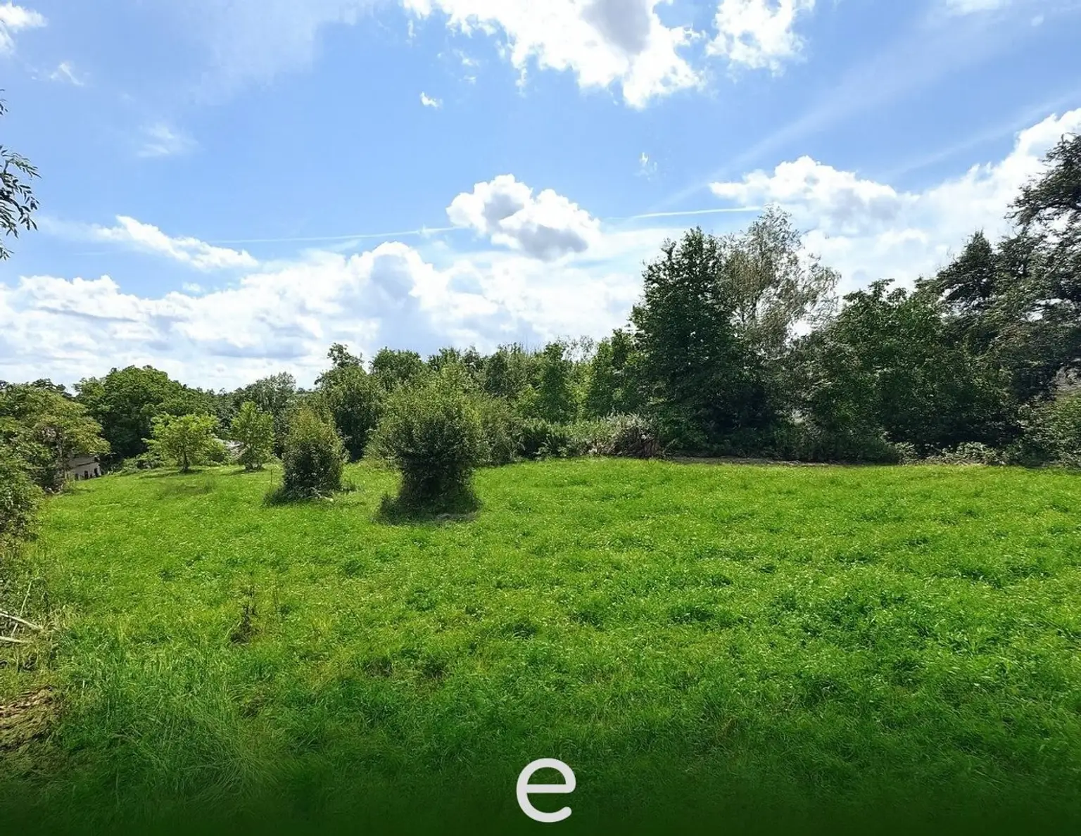 Neuer Preis! - Wilder Charme - ein sonniges Grundstück voller Potential!