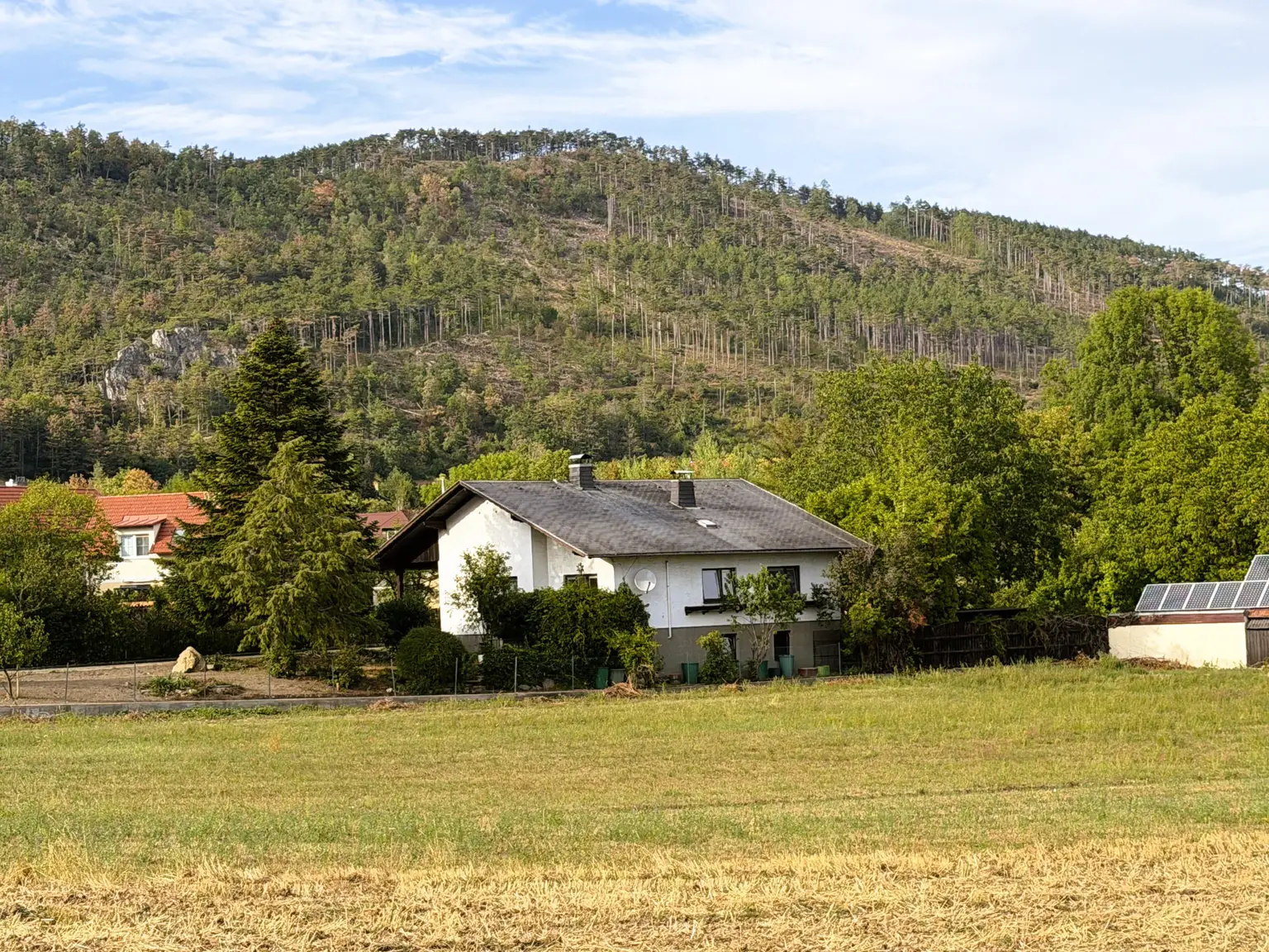 Gesamtansicht, Grünlage
