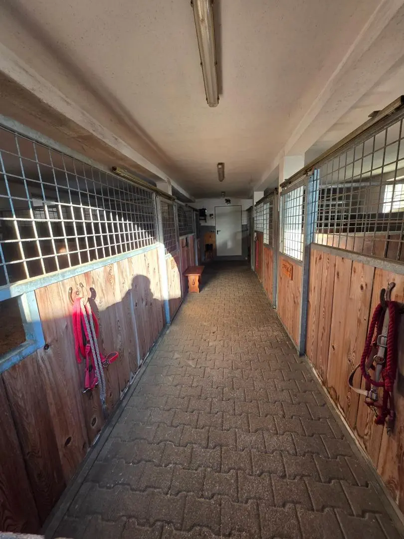 Boxen im Stall Erdgeschoss