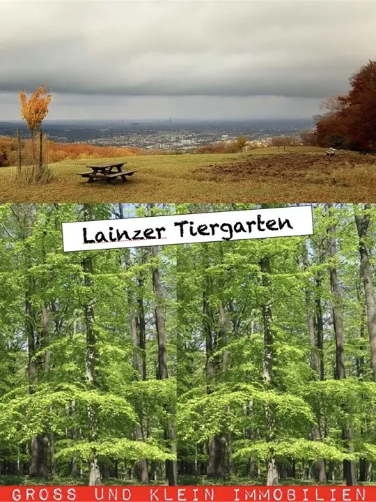 :-) charmante  5 Zimmer  -    geniale Einteilung
Aussergewöhnlich - 1.553 E Bruttomiete,
provfreii