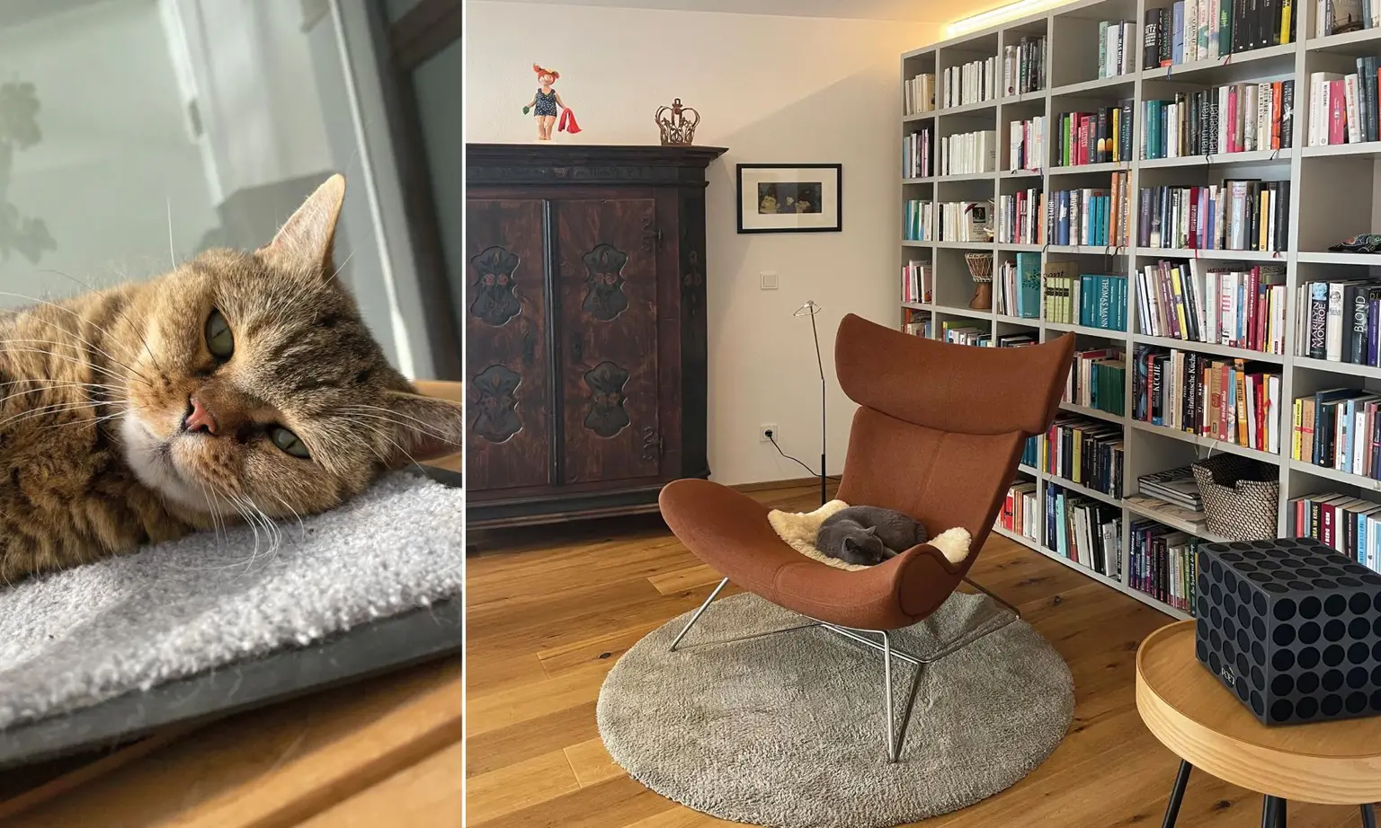 ...zum Entspannen und Lesen