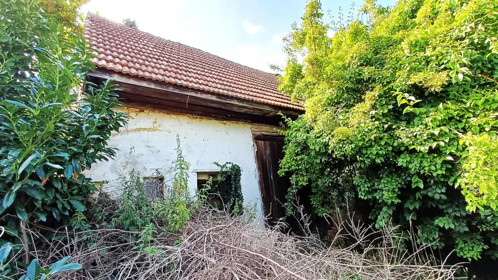 burgenländischer Streckhof - Baugrund mit Altbestand, Abriss o. Sanierung