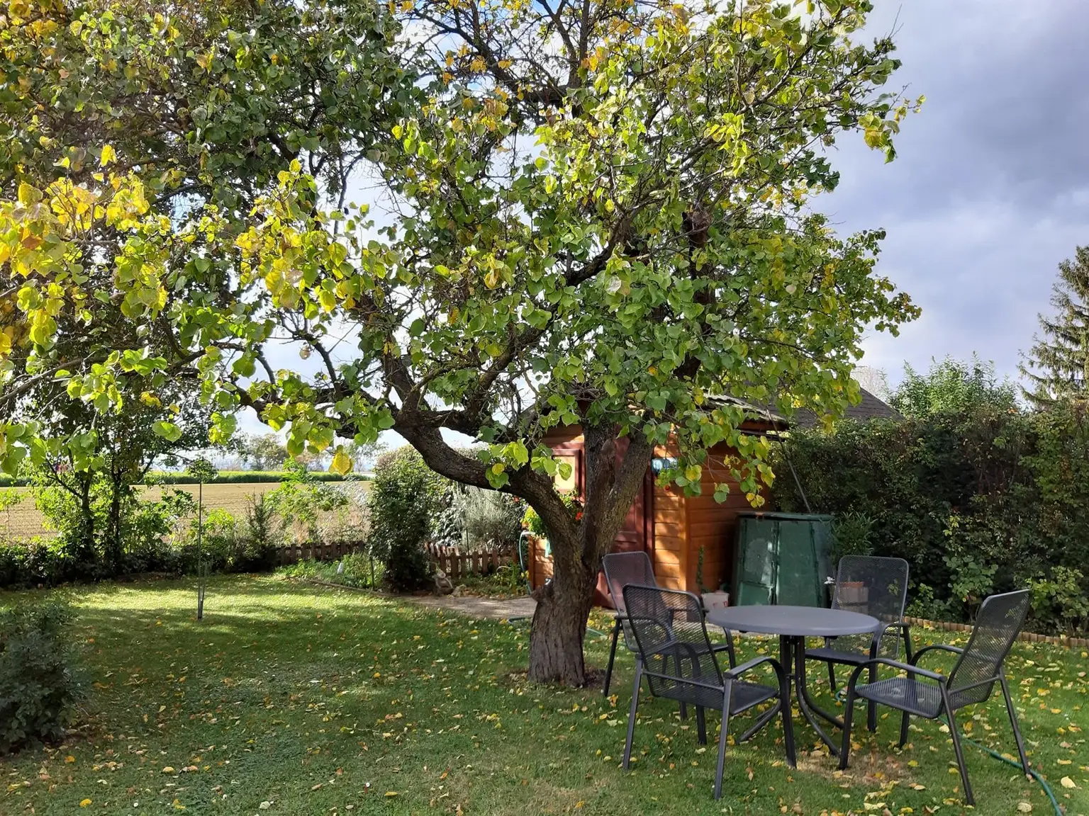 Einfamilienhaus mit Vollkeller in ruhiger Lage !