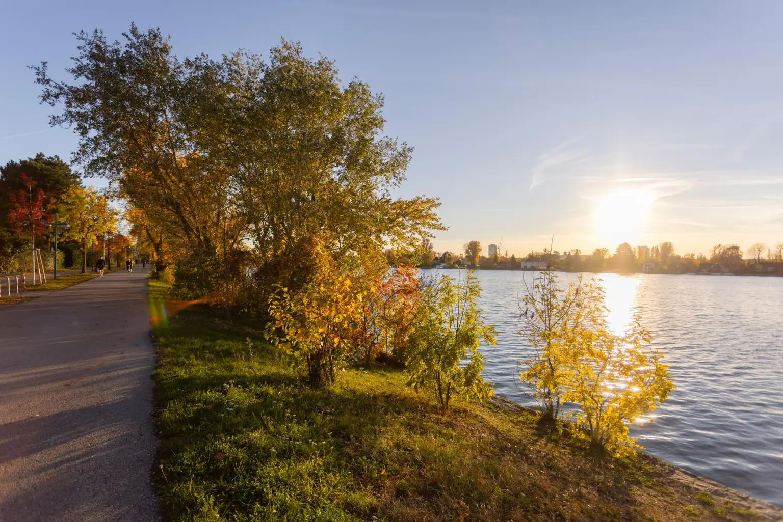 Alte Donau: Kleingartengrundstück mit Altbestand und Entwicklungspotenzial