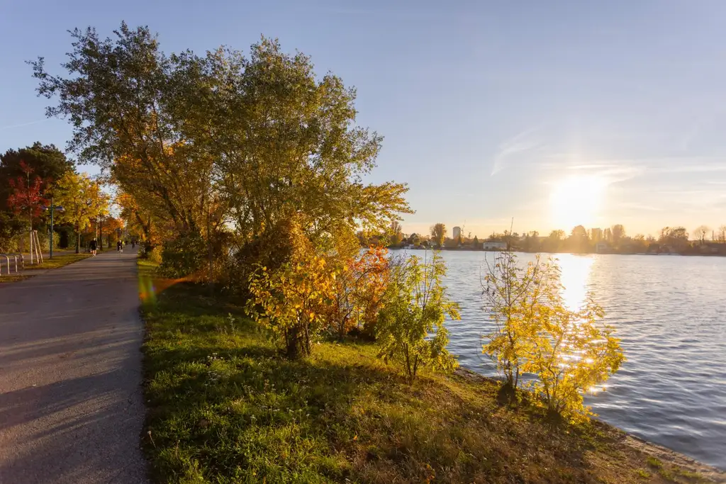 Alte Donau: Kleingartengrundstück mit Altbestand und Entwicklungspotenzial
