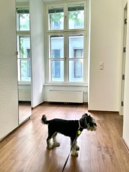 WOHNEN im 7-ten HIMMEL - INNENSTÄDTISCHE EIGENTUMSWOHNUNG- ELEGANTE Klassische Wiener-Altbau-Wohnung mit 2-Zimmern in Top Lage am SPITTELBERG - DURCHHAUS!
