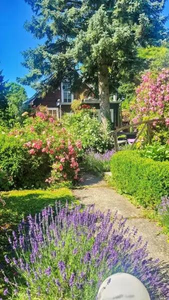 Viel Platz auf der Sonnenseite! Außergewöhnlich schöne Liegenschaft am Wilhelminenberg