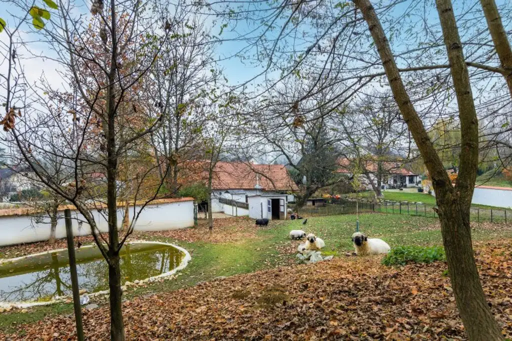Pferde, Golf und Thermenwellness - Im sonnigen Südburgenland