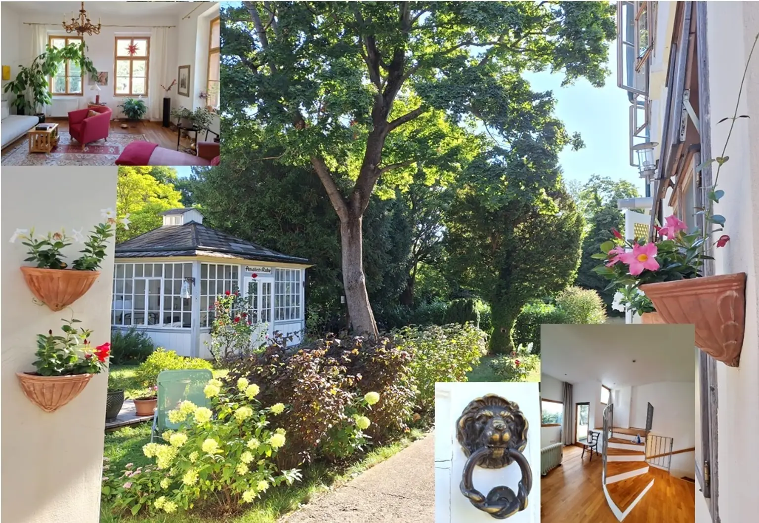 WOHNEN + GELDANLAGE; Vielseitig nutzbare Liegenschaft beim MAURER HAUPTPLATZ