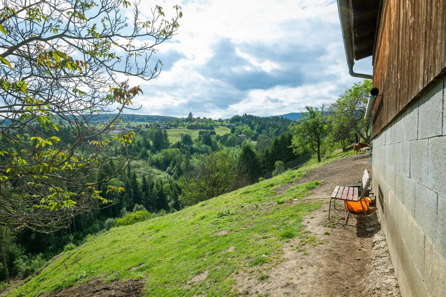 Aussicht