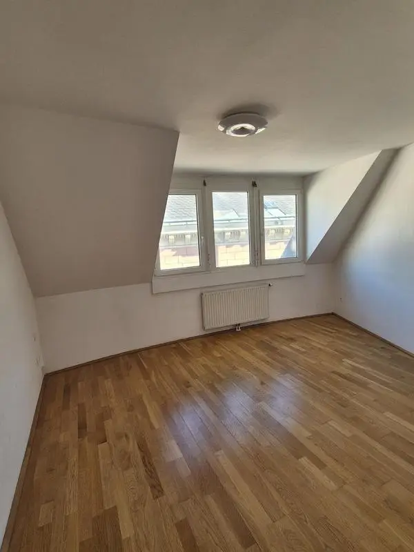 Zimmer