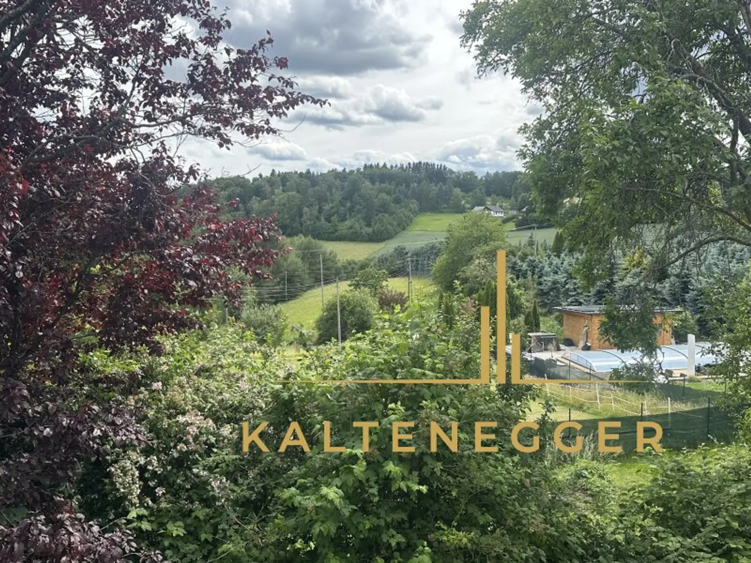 Großzügiges Haus in Ruhelage mit Grünblick