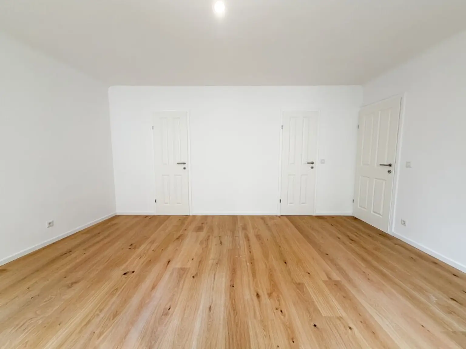 Zimmer2.3