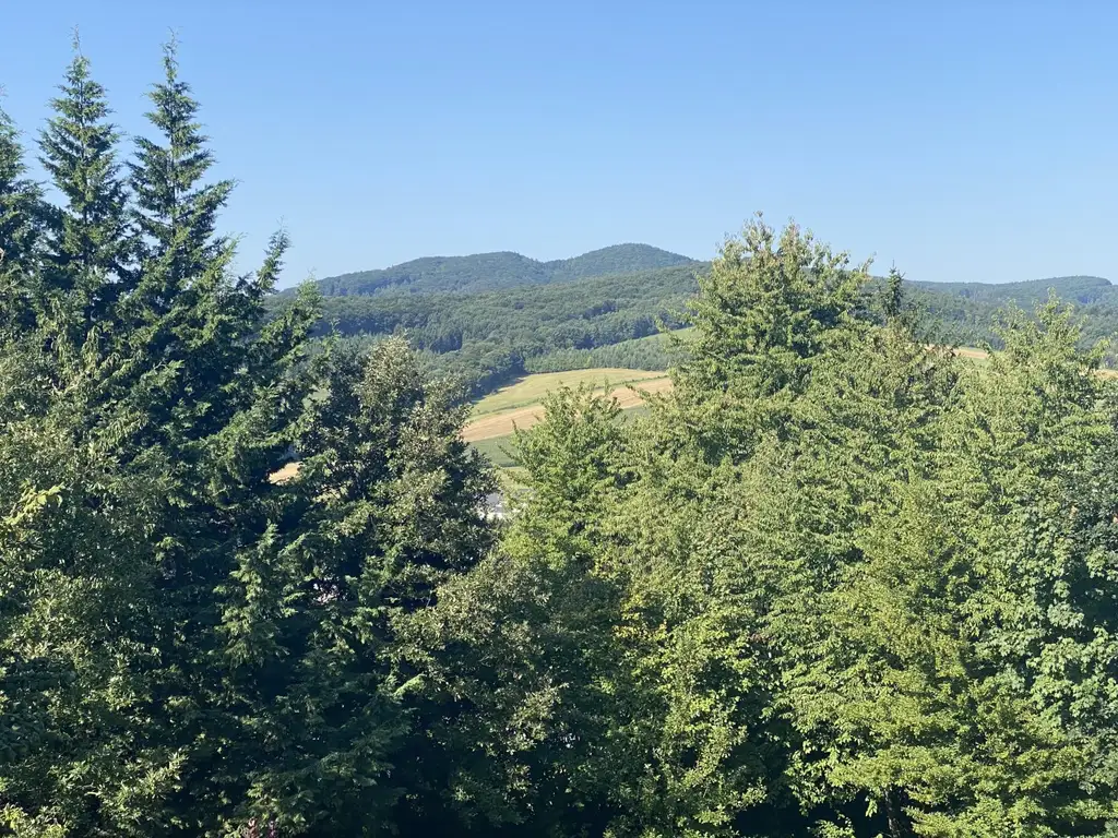"Traumvilla mit Fernblick!"