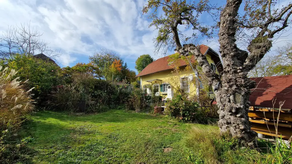 Entzückendes Einfamilienhaus mit Gartenoase in sonniger Lage