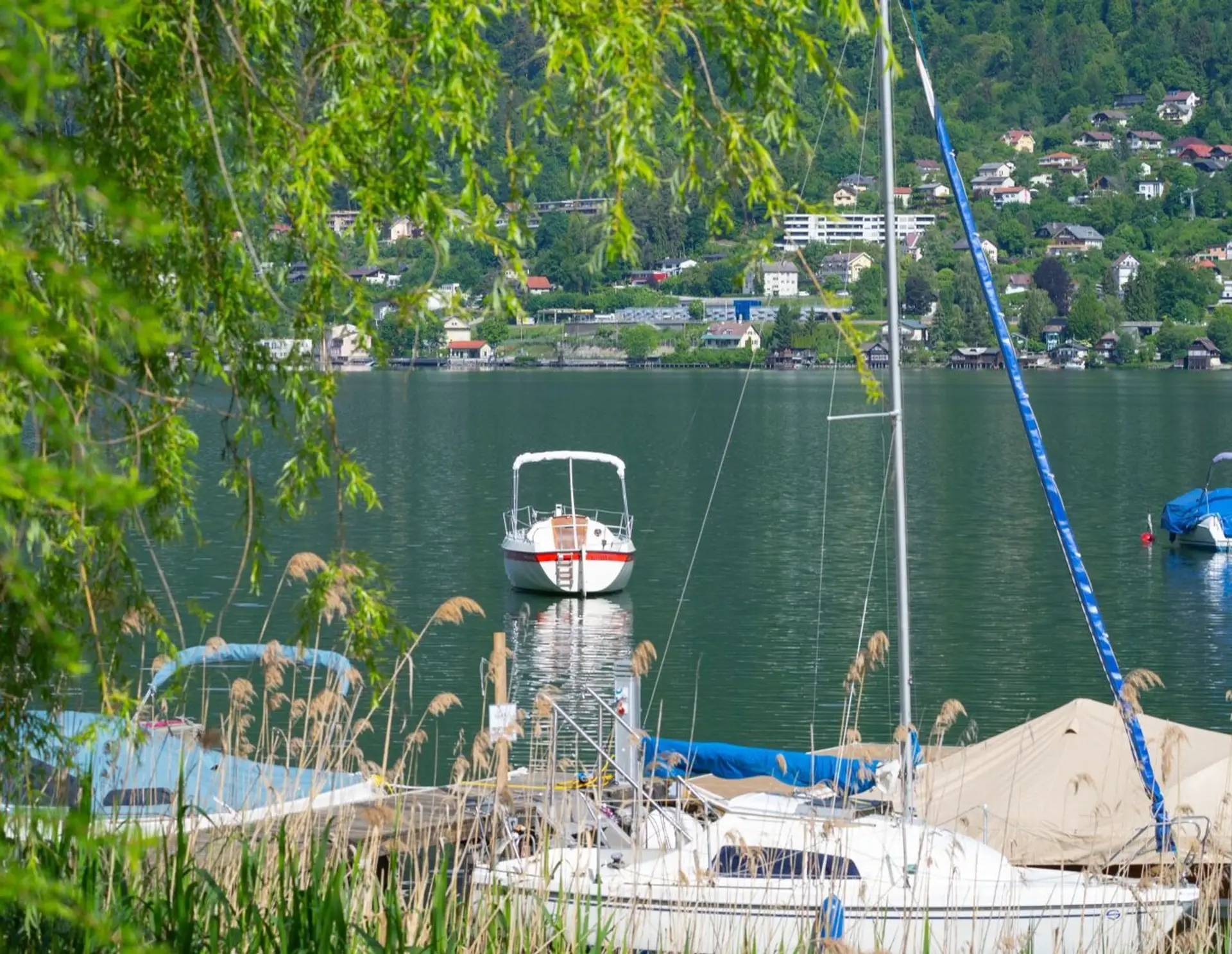 NEU - Seegrundstück mit der Perfekten Uferlänge und Grundtücksschnitt