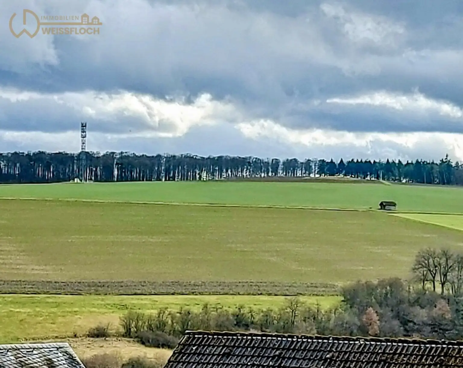 Blick von der Loggia ins Grüne