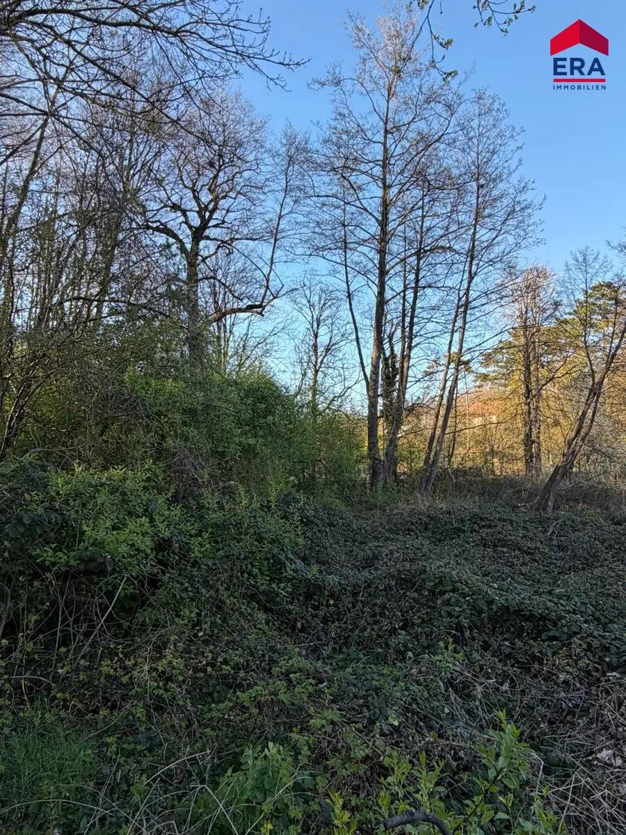 Exklusives Freizeitgrundstück in absoluter Grünruhelage – Natur, Weite & vielfältiges Potenzial in Gaweinstal