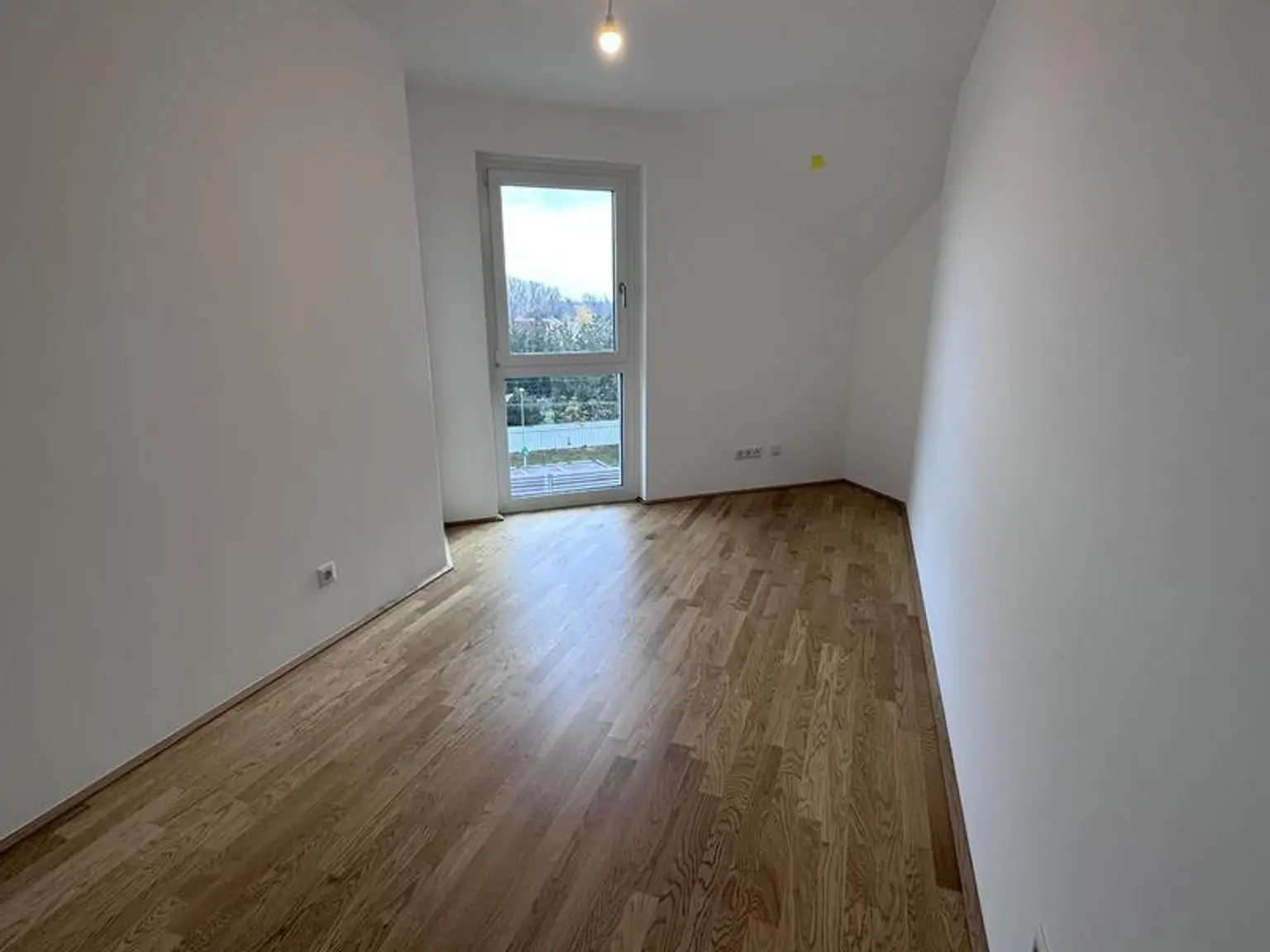 einen Katzensprung von Wien entfernt MIETE