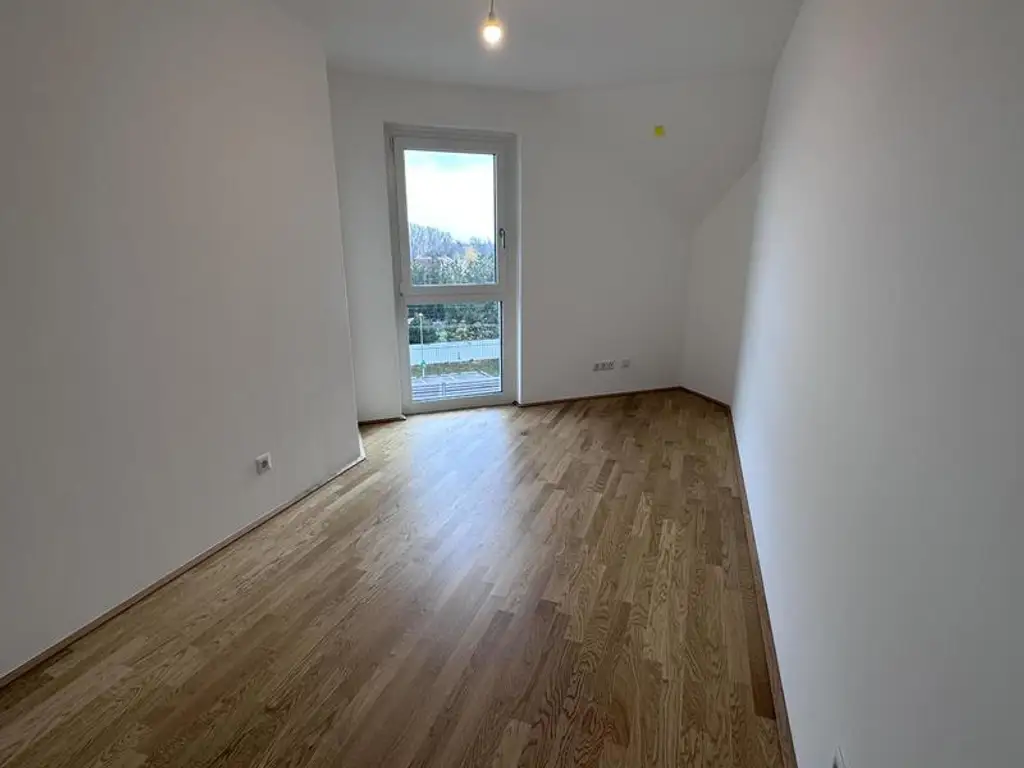 einen Katzensprung von Wien entfernt MIETE