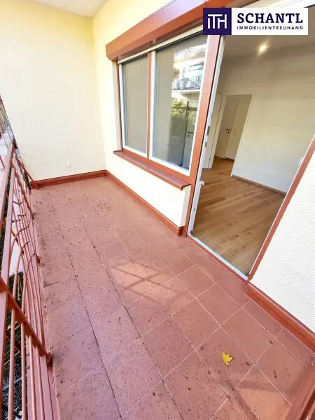 Ruheoase im Grünen! Sonnig. Saniert. Einfach super! Erstbezug mit Wohlfühlfaktor! 4 Zimmer + 2 Balkone + Garagenplatz + Hochwertige Einbauküche! Grün wohin das Auge reicht!