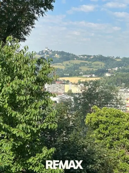 Ausblick