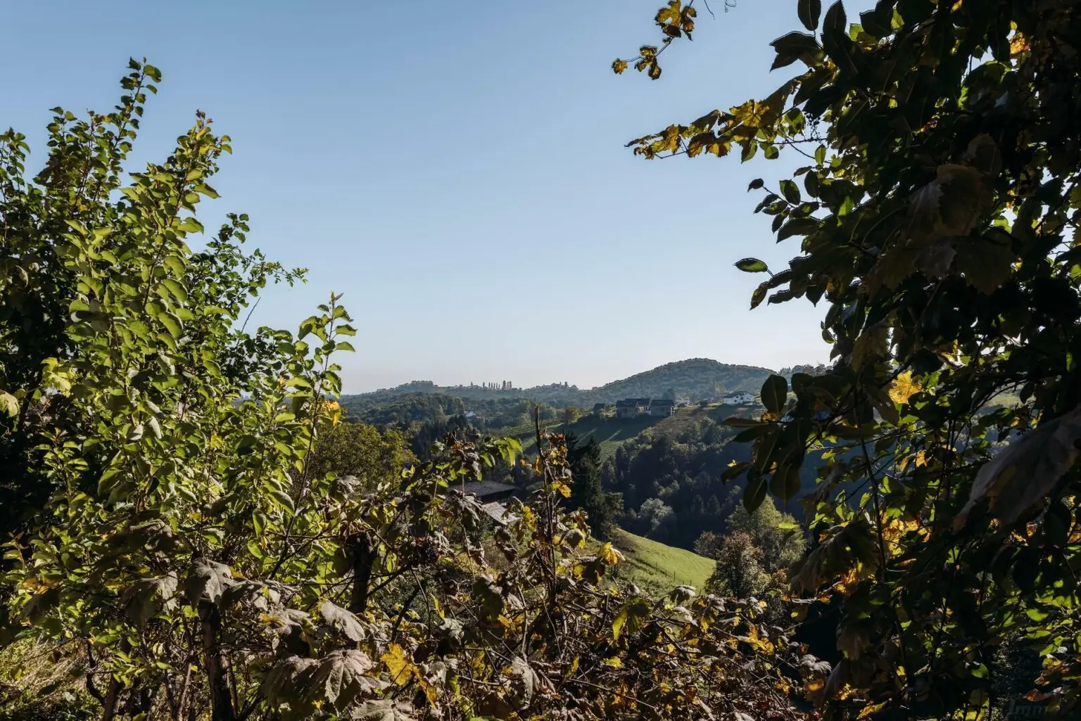 Passegger Haus Kranach 10 2025-42_resized