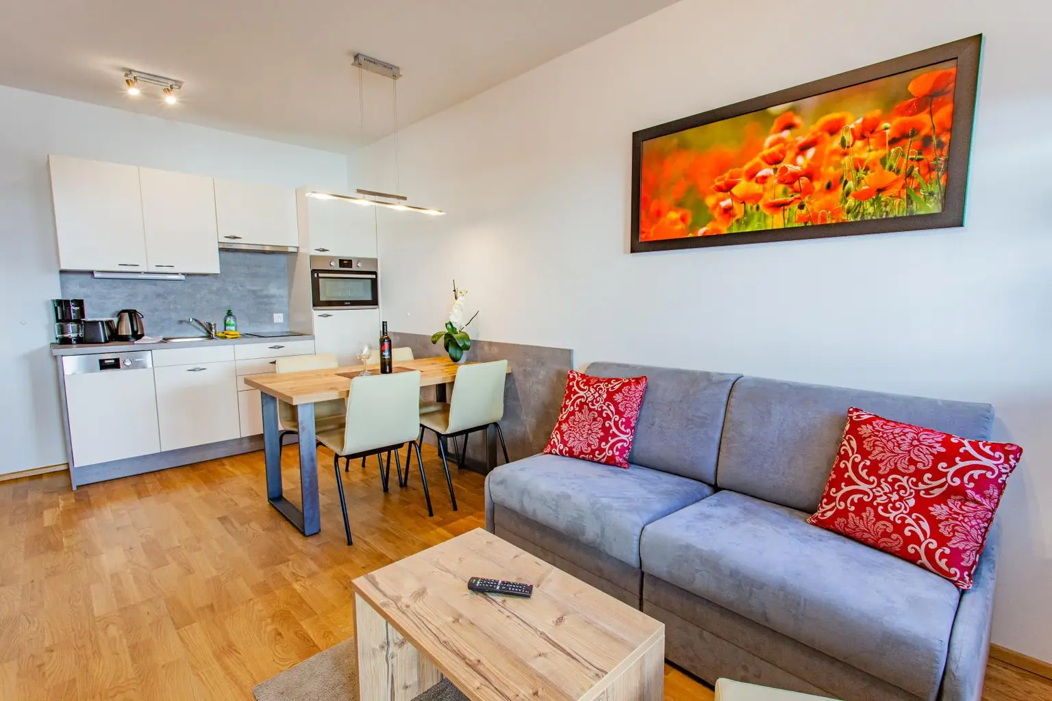 FÜR ANLEGER GESCHAFFEN - 3 Tolle Appartements im Schiverbund Ski amadé