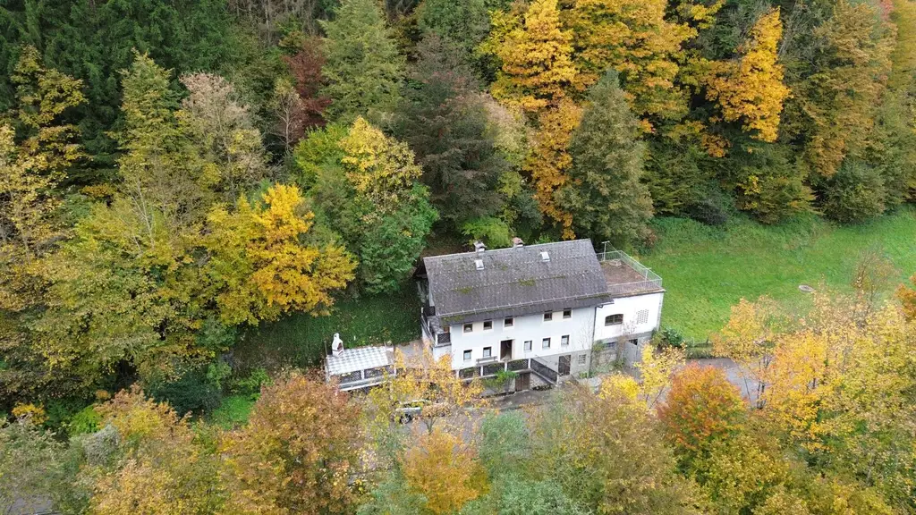 Wohnhaus mit großem Waldgrundstück