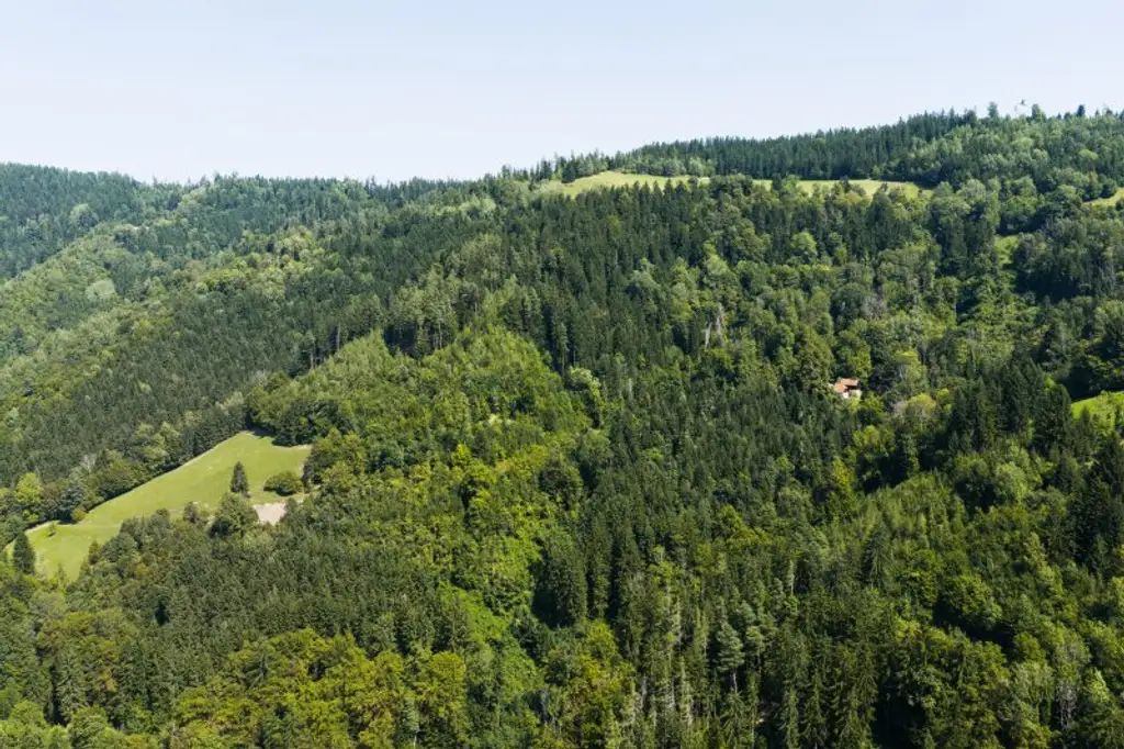 Idyllisch gelegenes Bauernanwesen und Kraftplatz unweit von Graz.