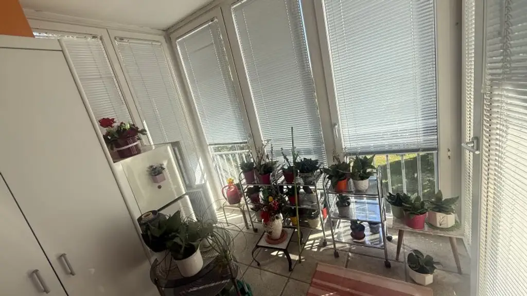 2-Zimmer-Wohnung mit Balkon und Wintergarten, sowie ein opt. Stellplatz und optionaler Möblierung!