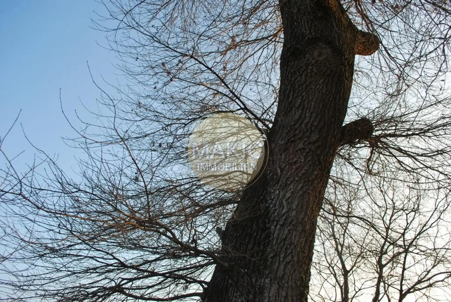 Bild (6)