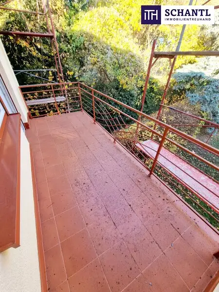 Ruheoase im Grünen! Sonnig. Saniert. Einfach super! Erstbezug mit Wohlfühlfaktor! 4 Zimmer + 2 Balkone + Garagenplatz + Hochwertige Einbauküche! Grün wohin das Auge reicht!