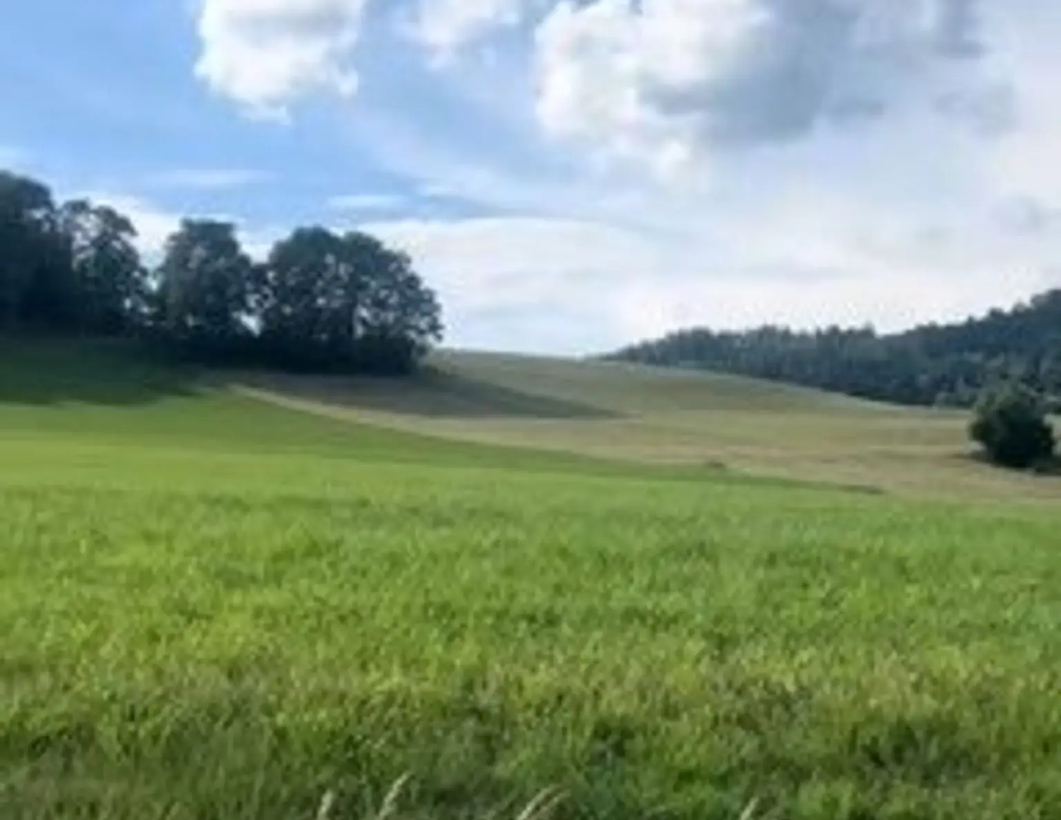 Fünf traumhafte, vollaufgeschlossene Grundstücke mit einem umwerfenden Panoramablick in Latschach am Magdalensberg