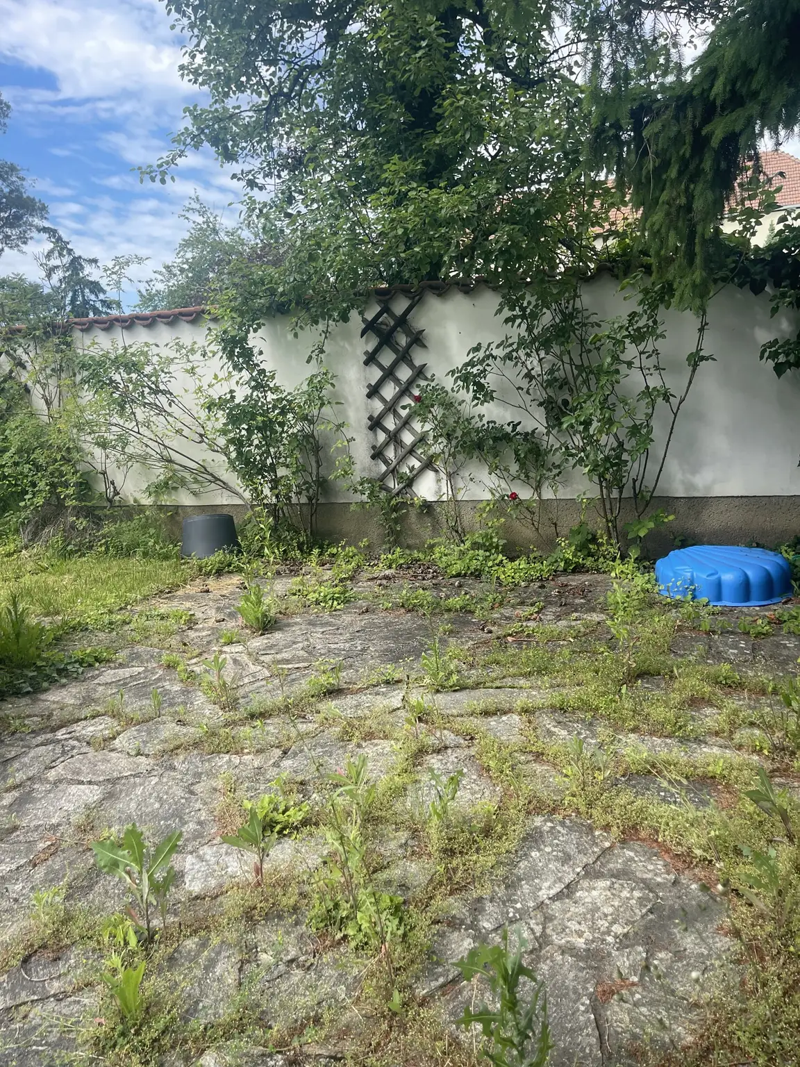 25 %  geschlossene Bauweise, Bauklasse II - keine Einschränkung auf Wohneinheiten