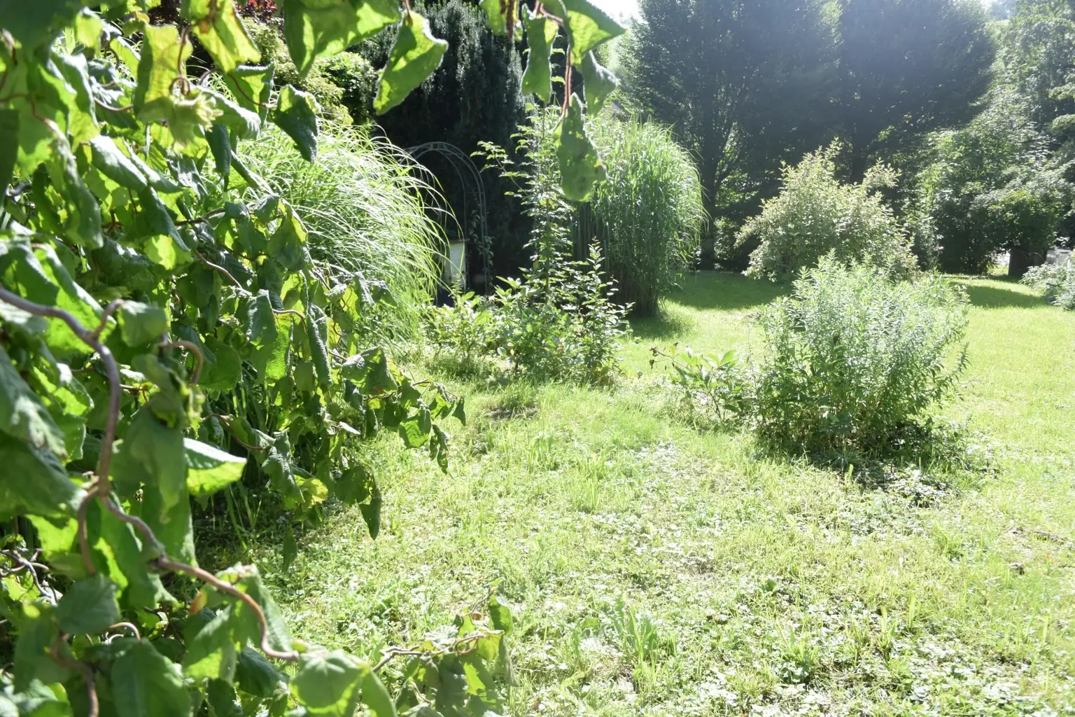 Wohnhaus mit Garten