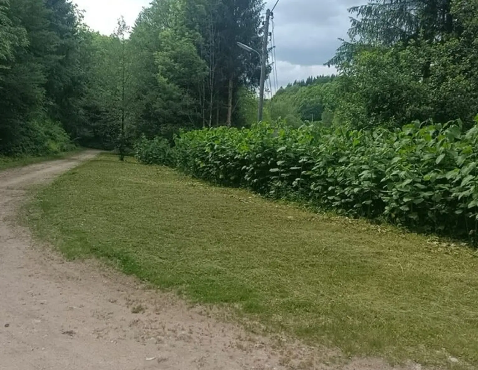 Grundstück am Bach!