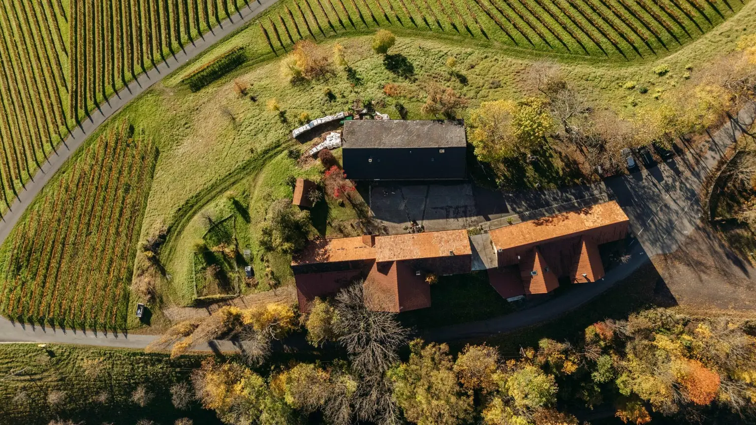 Buschenschank/Heuriger Eory zum Traubenkogel zu verkaufen!