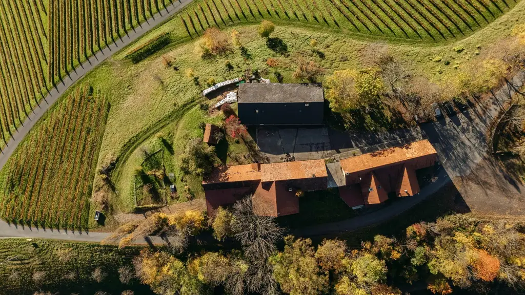 Buschenschank/Heuriger Eory zum Traubenkogel zu verkaufen!