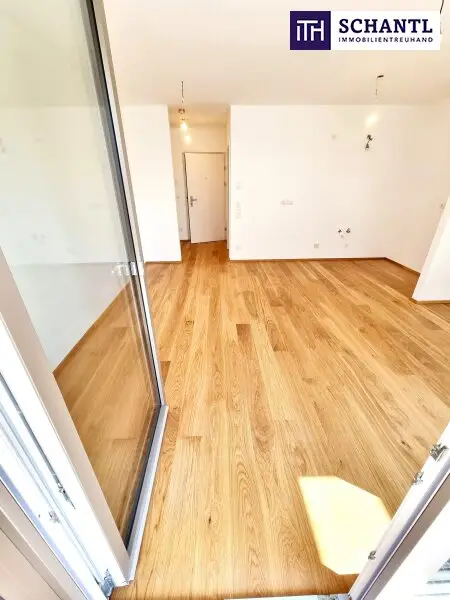Kleine Wohnung - Große Freude! Großer, hofseitiger Balkon + Blick ins Grüne + Komplette Ruhelage + Energieeffizienz + Perfekte Anbindung und Nahversorgung! Jetzt zugfreifen!
